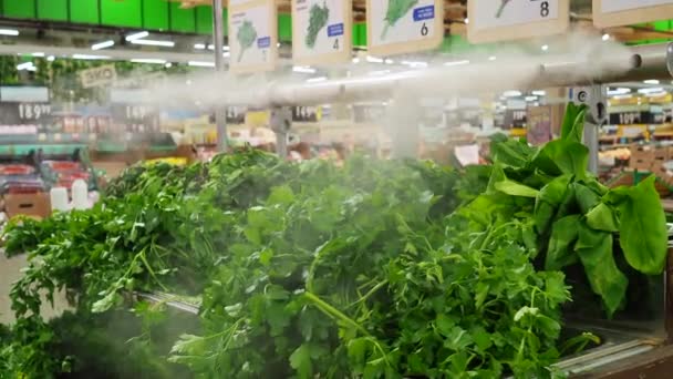 Кухонні трави в кошиках супермаркетів з парою для свіжості . — стокове відео
