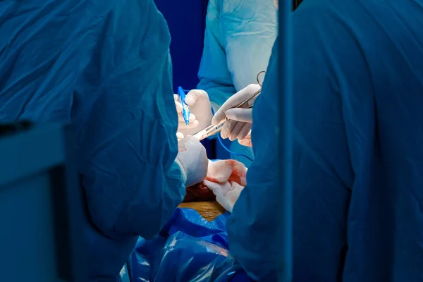 Un equipo de cirujanos profesionales opera a un paciente —  Fotos de Stock