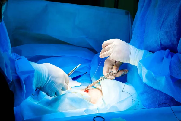 Cirujanos cosen la piel de los pacientes al final de la operación quirúrgica. — Foto de Stock