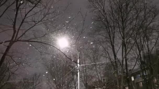 Nacht Winter Straßenlaterne mit fallendem Schnee. — Stockvideo