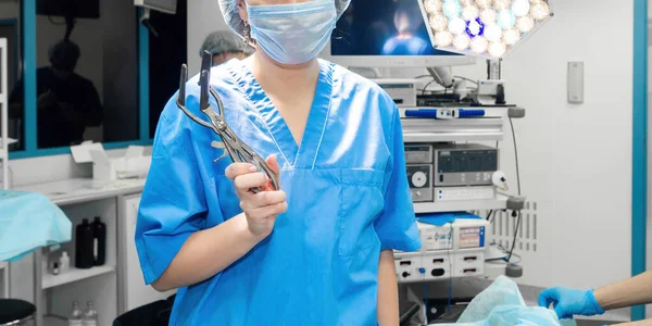 A female surgeon in the operating room holds an anus dilator. —  Fotos de Stock