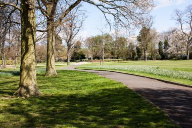 geçit ve parkta çim.