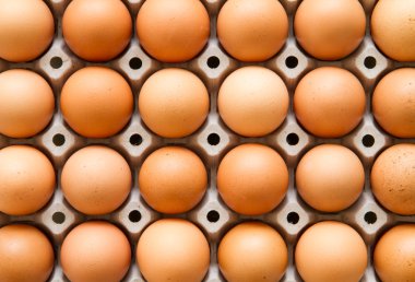 taze yumurta kahverengi kafes içinde.