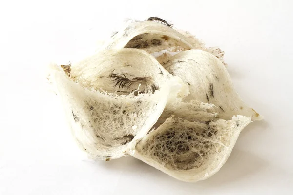 yenilebilir kuş yuvası.