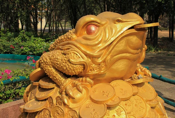Feng Shui grenouille tenir pièce de monnaie dans la bouche assis — Photo