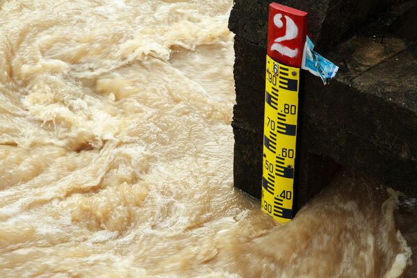 Линейка, указывающая
