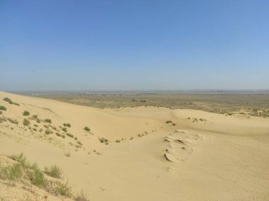 Sarı kum ve bitki örtüsü olan küçük kum tepeciği