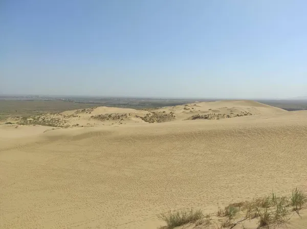 黄色の砂と植生の小さな砂丘は — ストック写真
