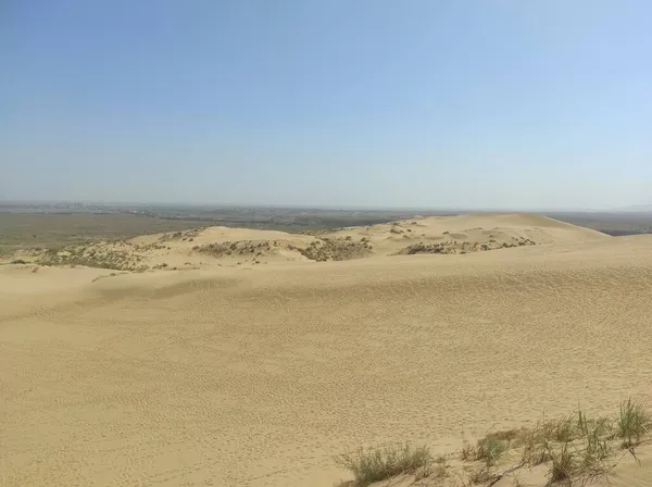 Small dune with yellow sand and vegetation — Stock Photo, Image