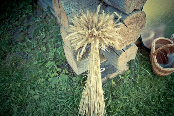 Espiguetas Trigo Jazem Uma Cesta Leve Vime — Fotografia de Stock