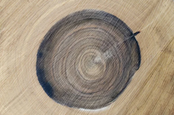 木製の板 木を切りなさい 木の幹の核 スラブカット カット 樹皮質 — ストック写真