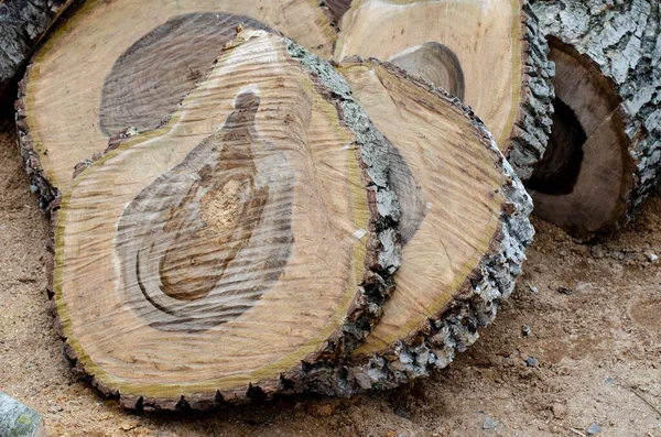 木制的木板 树干的核子 刀片切割 吠声质感 — 图库照片