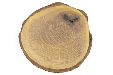 Kes, kes, kes, tahta kesim. Büyüme halkaları olan ahşap bir daire. Tahta testere beyaz arka planda izole edilmiş. Makro atış. Yakın plan..