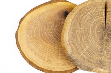 Kes, kes, kes, tahta kesim. Büyüme halkaları olan ahşap bir daire. Tahta testere beyaz arka planda izole edilmiş. Makro atış. Yakın plan..