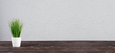 Yeşil saksı. Yeşillik filizleri. Çalışan tahta masa.