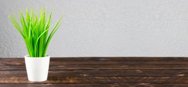 Tencere masanın üstünde. Tencerede yeşil filizlenme. Masaüstü. İşyeri.