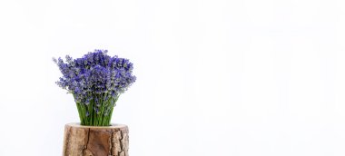 Vazoda bir demet lavanta çiçeği. Beyaz bir arka planda. İzole edilmiş.