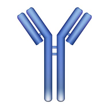 Antibody molecule clipart