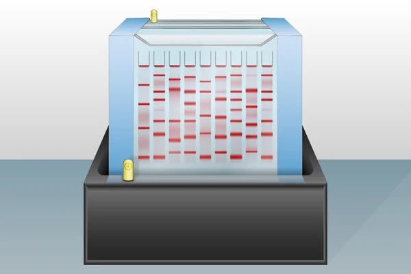 Gelelektrophorese Gerätevektor Illustration — Stockvektor