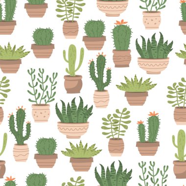 Kusursuz desenler farklı tatlı kaktüsler ve beyaz tencerelerde sulu.