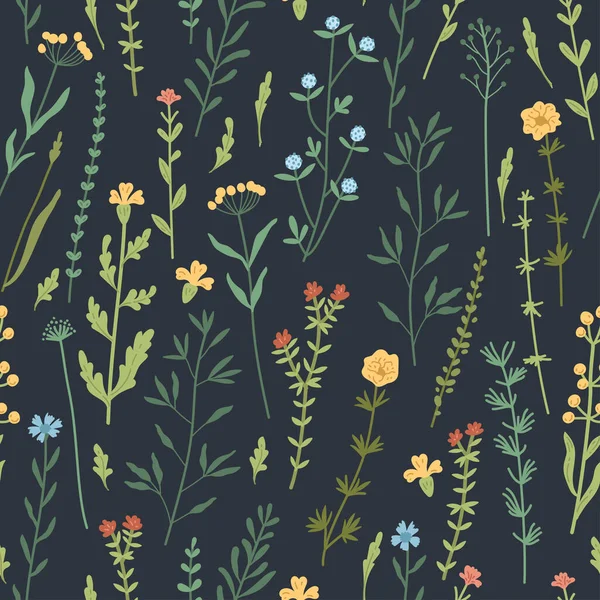 Motif floral sans couture avec des plantes dessinées à la main, feuilles, fleurs sauvages. — Image vectorielle
