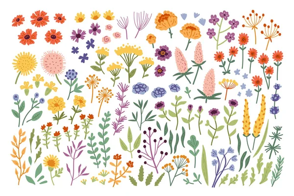 Grote botanische set van doodle wilde bloem andere elementen. — Stockvector