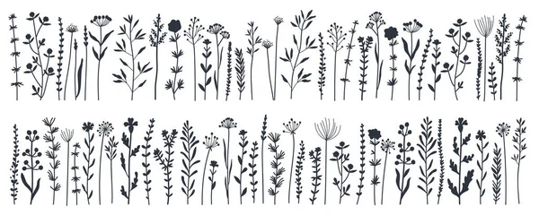 Siyah siluetler bahçe ve yabani yapraklar, çiçekler, vektör illüstrasyonu — Stok Vektör