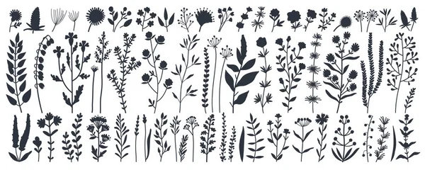 黒いシルエットの野生の牧草地のハーブ、花のコレクション — ストックベクタ