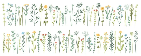 Сад і дике листя, квіти, гілки Векторні ілюстрації — стоковий вектор