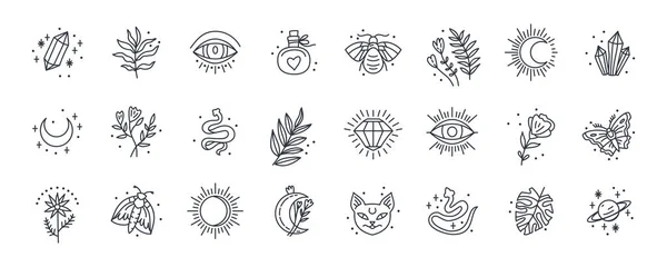 Vector witch magic design elements set. Hand drawn magician collection. — Vettoriale Stock