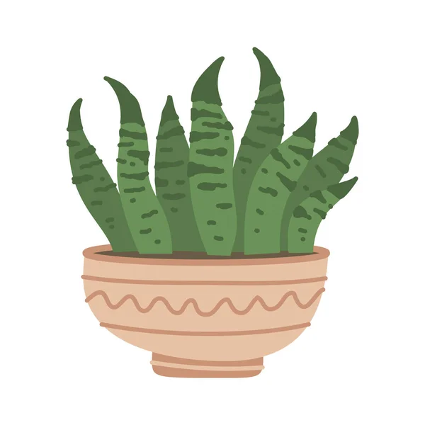 Cute Cacti Succulent Pot White Background Vector Illustration Flower Pots — Vettoriale Stock