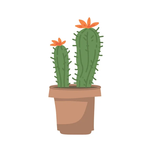 Cute Cacti Succulent Pot White Background Vector Illustration Flower Pots — Stock vektor