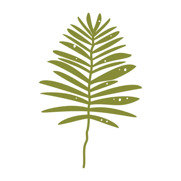 Tropic Leaf Botanical Illustration Palm Single Isolated Element Decoration Fashion — 스톡 벡터