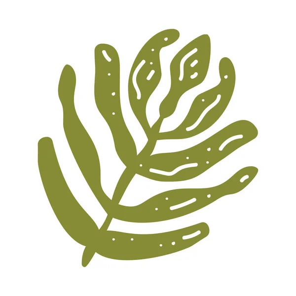 Tropic Leaf Botanical Illustration Palm Single Isolated Element Decoration Fashion — Stock Vector