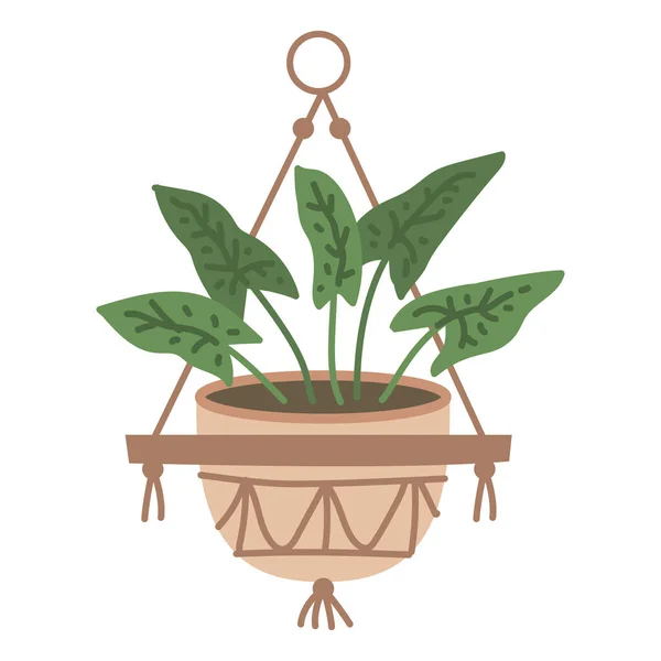 Plant Hanging Pot Houseplant Hang Rope Decorative Indoor Plant Macrame — Stock Vector