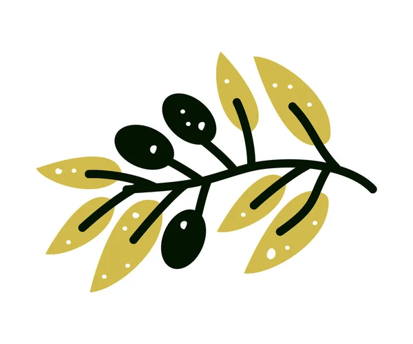 Vector Illustration Olive Branch Cartoon Style Label Olive Oil Producers — Stok Vektör