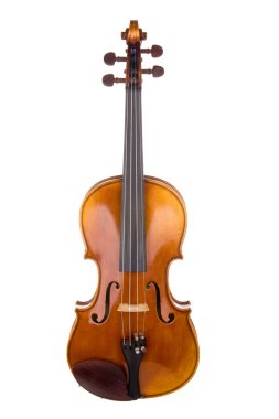 Violin Front View clipart