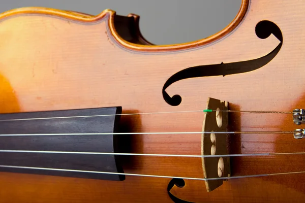 바이올린 브릿지 및 문자열 — 스톡 사진