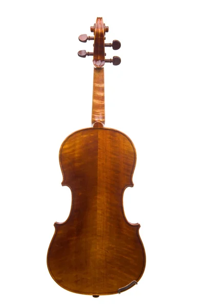 Visão traseira do violino — Fotografia de Stock