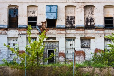urban Decay duvar