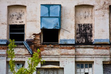 urban Decay duvar