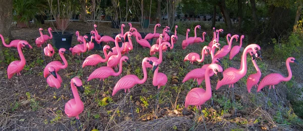 Troupeau de faux flamants roses dans la forêt — Photo