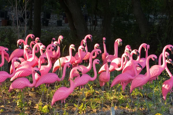 Sahte flamingolar orman - Stok İmaj