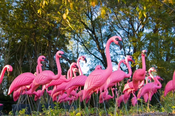 Dramatiska falska flamingo flock i skogen Royaltyfria Stockfoton