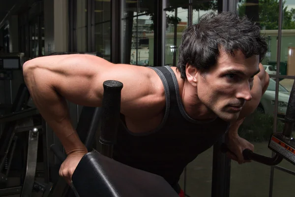 kol kasları 3 egzersiz erkek