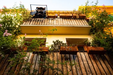 Collioure, Fransa 'da tipik bir evin cephesi ve girişi