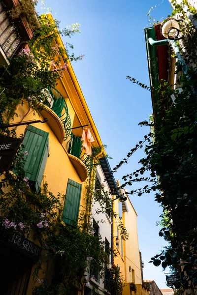 Collioure, Fransa 'da tipik bir evin cephesi ve girişi
