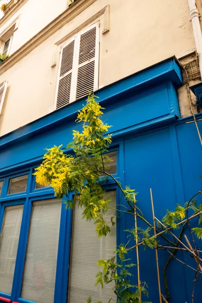Batignolles bölgesinde Paris 'in tipik evleri