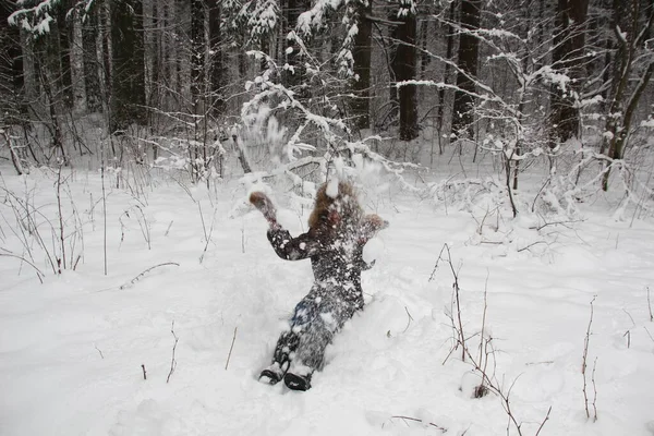 Młoda Atrakcyjna Kobieta Brązowym Futrze Kapeluszu Siedzi Mrozie Rzuca Śniegiem — Zdjęcie stockowe