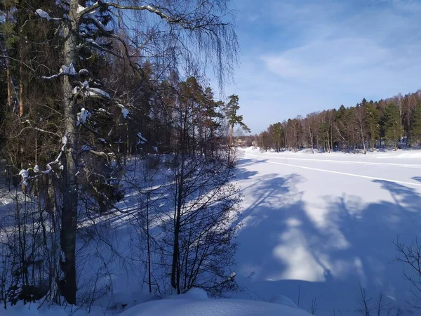 Země Zimní Krajina Sněhem Zamrzlá Řeka Les Stromy Stíny Slunce — Stock fotografie